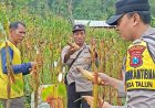 Polres Ponorogo Sahabat Petani, Dampingi Warga Wujudkan Swasembada Pangan