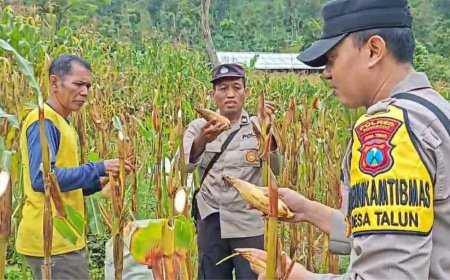 Polres Ponorogo Sahabat Petani, Dampingi Warga Wujudkan Swasembada Pangan