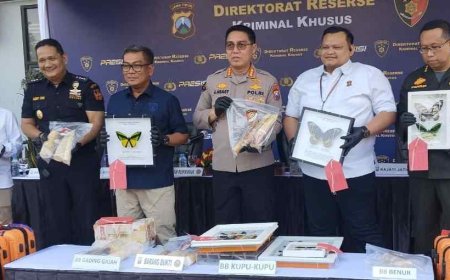 Ditreskrimsus Polda Jatim Gagalkan Penyelundupan Gading Gajah - Kupu-Kupu -  Benih Lobster