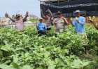 Polres Pelabuhan Tanjungperak Perkuat Sinergi Lintas Sektor Wujudkan Swasembada Pangan