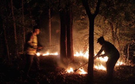 Respon Cepat Laporan Call Center 110, Polsek Kedunggalar Berhasil Padamkan Kebakaran Lahan di Ngawi