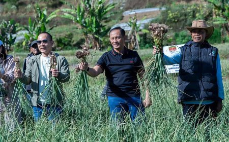 Satgas Pangan Polri Perkuat Swasembada Bawang Putih, Lahan Tanam di Sembalun Capai 534 Hektare