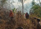Tim Gabungan Polres Trenggalek Evakuasi 4 Pendaki yang Terjebak Kebakaran di Gunung Orak Arik