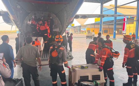 Terbang dengan Pesawat Khusus, Polri Kerahkan 10 K9 SAR Berpengalaman ke Flores, Misi Pencarian Korban