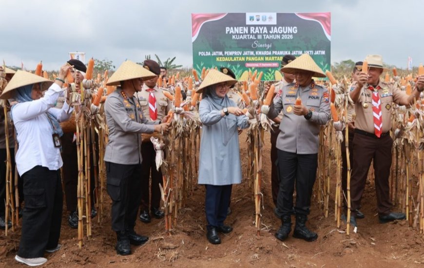 Panen Raya Jagung di Green Farm Banyuwangi,  Kapolda Jatim: Pentingnya Petani Muda untuk Ketahanan Pangan